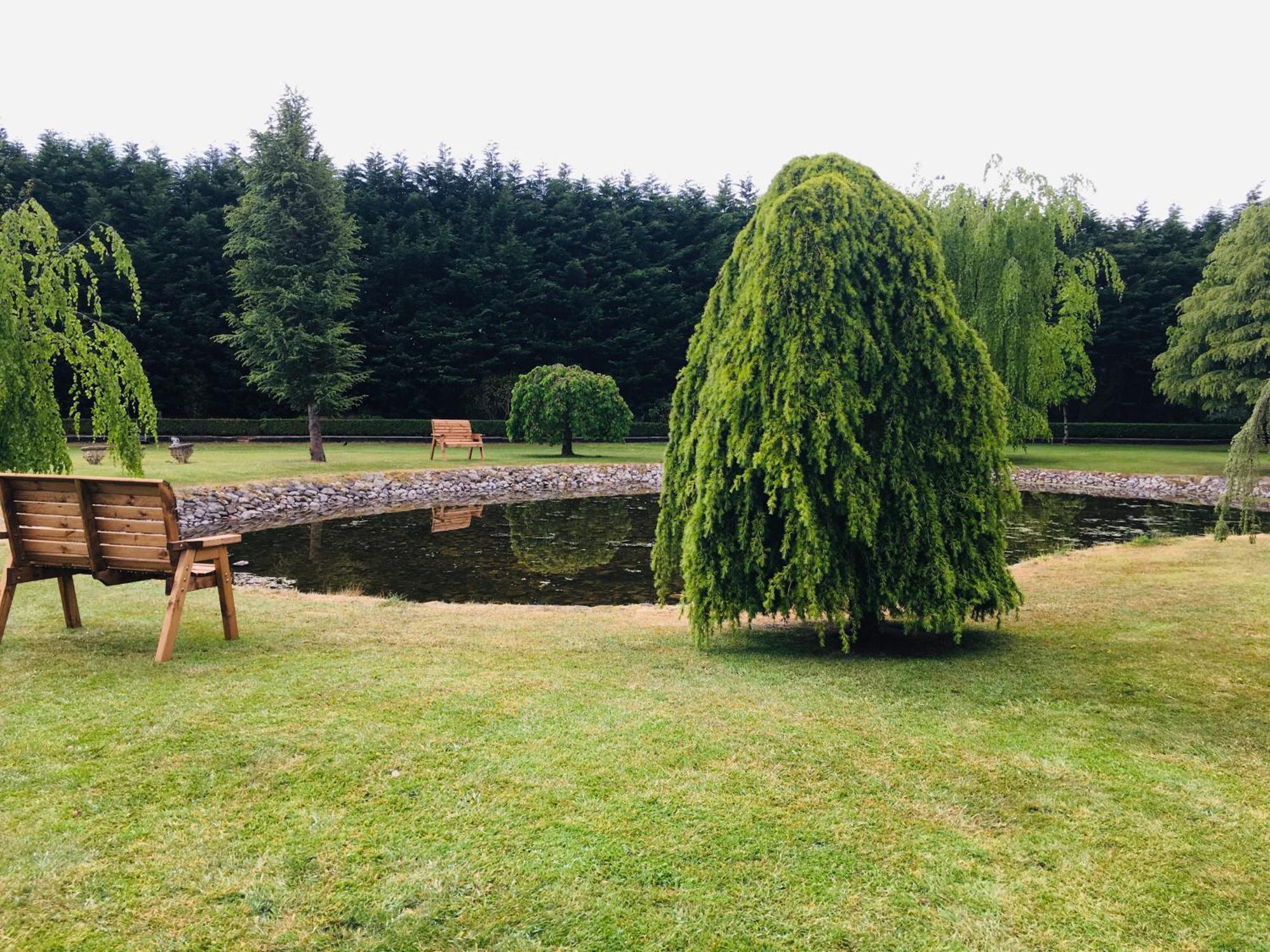 スライゴ Castledale Bed & Breakfast エクステリア 写真