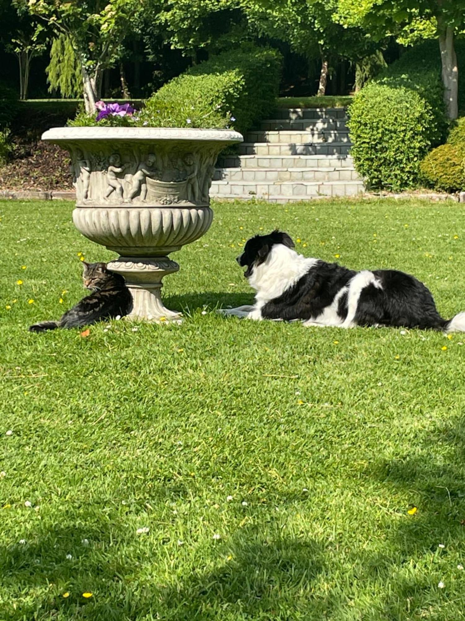 スライゴ Castledale Bed & Breakfast エクステリア 写真